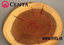 02-Mat-cat-go Cach-phan-biet-cac-loai-go www.centa.vn