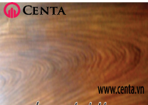 04-Go-sua Cach-phan-biet-cac-loai-go www.centa.vn