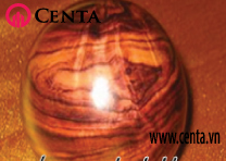 05-Go-sua Cach-phan-biet-cac-loai-go www.centa.vn