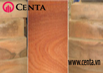 11-Go-xoan-dao Cach-phan-biet-cac-loai-go www.centa.vn.