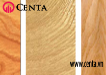 13-Go-xoi-trang Cach-phan-biet-cac-loai-go www.centa.vn