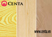 15-Go-tan-bi Cach-phan-biet-cac-loai-go www.centa.vn Các loại gỗ tự nhiên