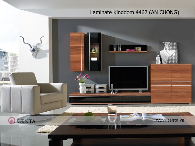 23. Mau-Ke-ti-vi-dep _www.centa.vn