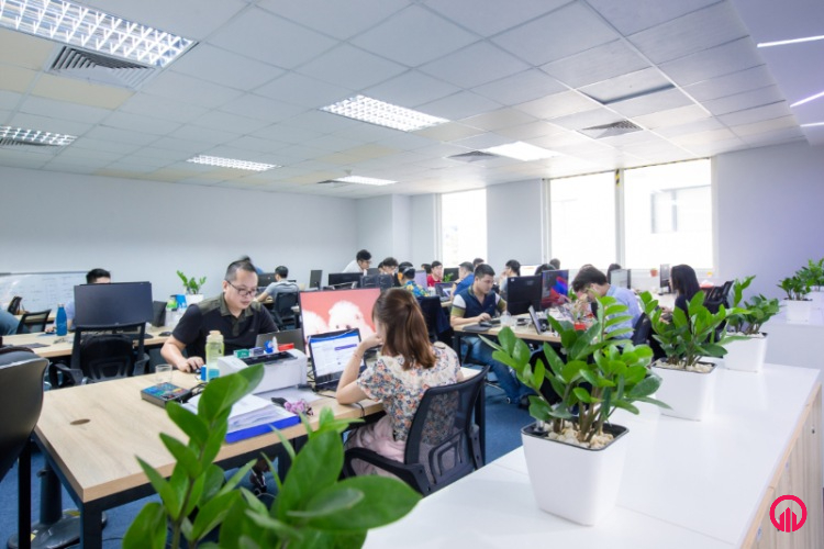 Cây xanh văn phòng Thi công nội thất văn phòng